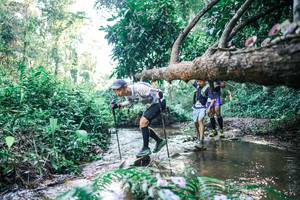 BIB: 
                            <button type="button" onclick="openModal(25435587)" class="btn btn-primary btn-sm float-right btn-popup" data-toggle="modal" data-target=".modal-high-quality">
                        <i class="fas fa-shopping-cart"></i> Add to Cart
                    </button>
                                            <button type="button" onclick="isThisMe(25435587, true)" class="btn btn-success btn-sm float-right btn-popup btn-isme hidden" data-toggle="tooltip" data-placement="bottom" title="นี่คือรูปของคุณใช่ไหม คลิกที่นี่เพื่อเอาเข้าอัลบั้ม">
                        <i class="fas fa-plus"></i> Add to album
                    </button>
                    <button type="button" onclick="isThisMe(25435587, false)" class="btn btn-warning btn-sm float-right btn-popup btn-isnotme hidden">
                        <i class="fas fa-ban"></i> Remove from album
                    </button>